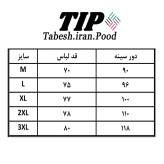 زیرپوش آستین دار مردانه تابش ایران پود مدل سوپرپنبه اعلاء SP001 بسته 6 عددی